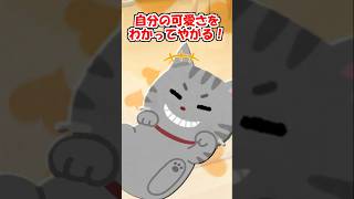 【2ch】ウチの猫、絶対自分の可愛さをわかってる！【アニマル】 #Shorts