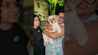 Remo ku vaccine podanum 🐶🐾#ishqyouall #tamil #swv #shortvideo #youtubeshorts
