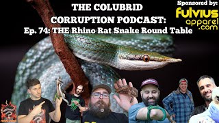 The EPIC Rhino Rat Snake Round Table | The Colubrid Corruption Podcast | Ep. 74