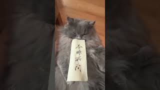 Writing 答非所問（To give an irrelevant answer to a question）