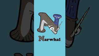 Animals that start with N - Newt, Narwhal, Numbat, Nighthawk, Nutria #Shorts