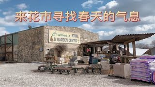 春天来花市打卡，看看我的美国真实生活