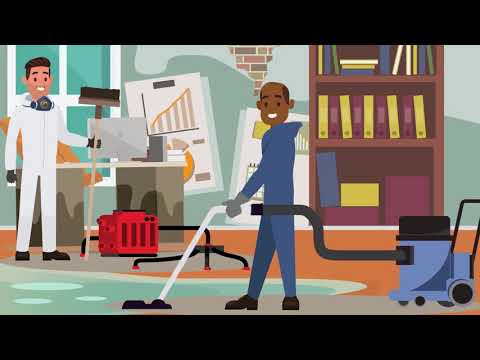 Flood Damage Cleaning & Restoration Service - Ideal Response