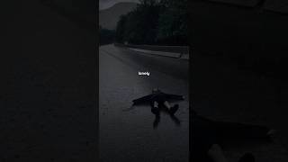 Listen 🎧 full song here #sad #sadmusic #lofibreeze #sadsongs #sadpop #kpop #sadmusicplaylist #lofi