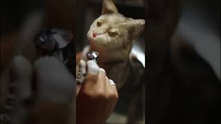 PURR-fect ASMR!