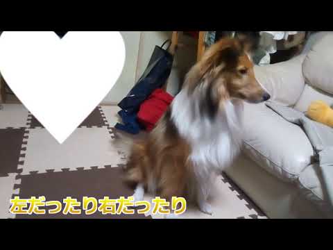 20181219タッチ