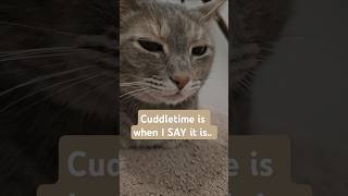 #cuddletime starts when #furbabyEve says so! #cute #funny