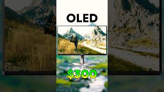 The Best BUDGET OLED Monitor.