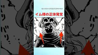 【最新1149話】イム様の正体は...【ワンピース】#ワンピース1021 #ワンピース #ワンピースの反応集まとめ