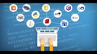 Top 10 PROGRAMMERS OF THE WORLD 2017.
