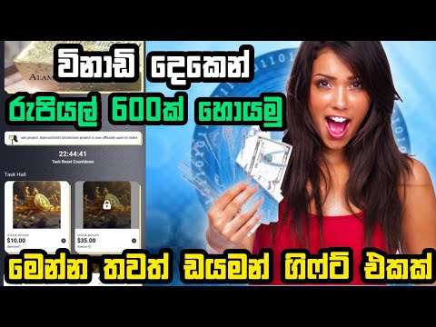 ඩයමන් 599ක් නොමිලේ | e money today new platform sinhala 2024 | online money earning