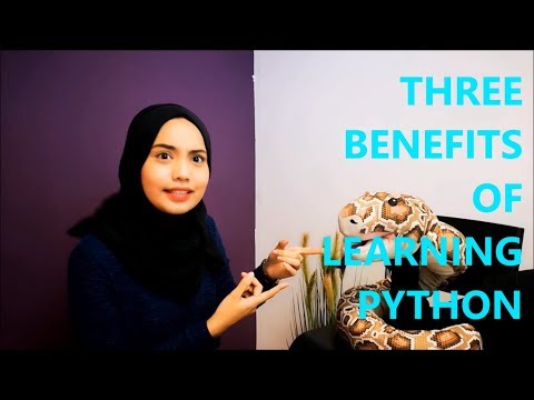 Quick interview with PYTHON!