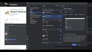 How to Install Tomcat in IntelliJ IDEA & Run JSP Project