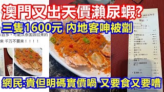 澳門又出天價瀨尿蝦 ? 三隻1600元 內地客話被劏 ! 網民:貴但明碼實價喎 又要威住食又要嘈 ?!