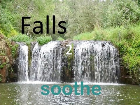forest falls