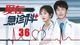 最新医疗剧【爱在急诊科 EP36】改编自真实故事，速看急诊科的人情冷暖！| Love in the emergency department | 杨幂/白宇（医疗/现代）