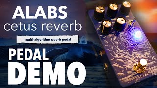 ALABS Cetus Pedal Demo: Ambient Reverb on a Budget