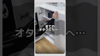 Storage that fulfills the wishes of otaku #shorts