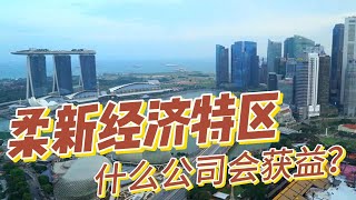【柔新经济特区】柔佛新加坡组经济特区，什么公司会获益？#johor #singapore #ai #科技 #investment  #datacenter  #网络 #数据中心 #数据 #投资 #价值