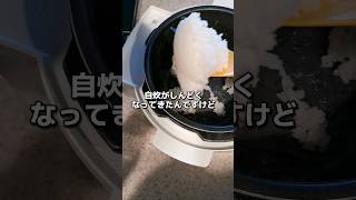 【自炊日記】残ってくれたトマトスープでリゾットを作った記録('∇')【japanese cooking vlog】 #shorts