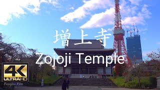 【4K】都会に響く経の音 増上寺 Zojoji Temple in Tokyo Japan 2021
