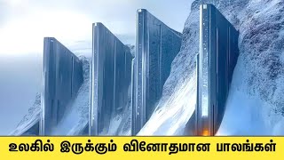 Bridges that amaze people || Diiferent Bridges in the world