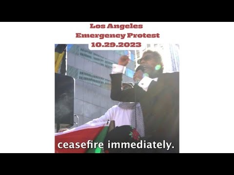 Los Angeles Emergency Protest - Cease Fire Now!