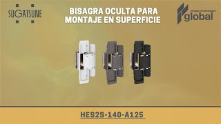 Bisagra oculta HES2S-140-A125/Global-Dtech