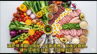 減肥停滯期？揭秘「代謝適應」背後的真相，讓你突破平台期，一路瘦到底！