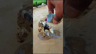 mini handpump cow bath science project #shorts