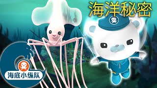 海底小纵队 - 🌊 海洋秘密❓ | 集完整版