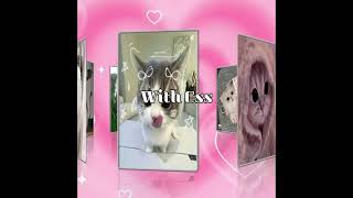 with or without CSS