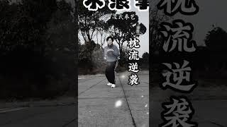 晓希水浪拳日常练习（三十），枕流逆袭—— 琵琶遮面 #中华传统文化 #健身 #运动 #kungfu #内家拳 #武术 #martialarts