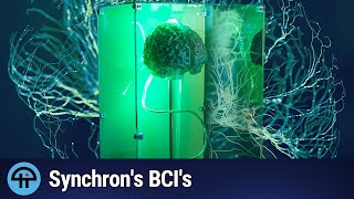 Synchron: A Competitor to Neuralink