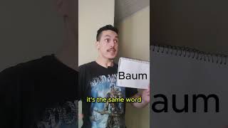 When the first letter is capitalized  #easygerman #learngerman #german #funny #comedy