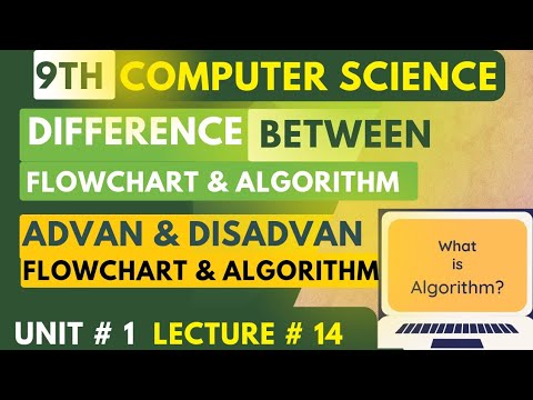 Efficiency of Algorithms | Difference |Advantages and Disadvantages | 9th computer science chap 1