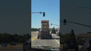 Real American Hero #shorts #trending #new #viralvideo #watch #truck #life #amazing #skills #sub #me
