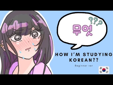 How I self-study Korean and how you can too!