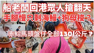 船老闆回港眾人搶翻天漁獲⚠️手腳慢只搶到海鰻和狗母梭150？赤鯮馬頭盤仔魚130/公斤？胭脂蝦1公斤350⚠️總材料500元吃到不要不要的⚠️南方澳漁港