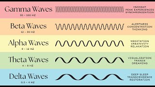 Brain Waves - The Psychology Behind Your Decisions (3 Minutes)