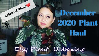 Etsy Plant Unboxing & Plant Haul 2020