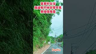 真實的台灣路邊有竹林非常罕見來換個角度#Sophia#台灣#台語歌#彤彤紫茵茵#筑芊心#跑車阿筌#街拍#街頭攝影#真實的台灣#路邊#竹子