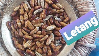 Silkworm bhaji recipe (Assamese leta) এড়ী পলুৰ লেটা।