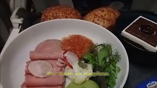Review Lufthansa Business Class Flight from Copenhagen Denmark to Frankfurt Germany
