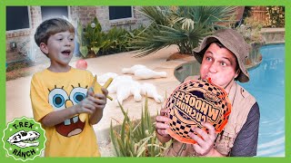🥚Giant Life Size Mystery Egg!  | T-rex Ranch | NEW Superhero Cartoon for Kids | Moonbug Kids