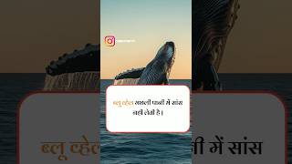 General Knowledge Information | #shorts #gkquestions #gktoday #gkgenius #share #gkquiz