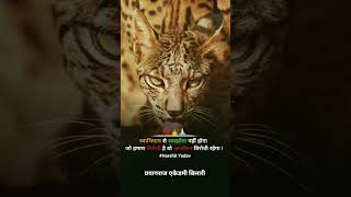 #motivation #upcs #up21classes #motivational #uppc #upsc #uppss #up