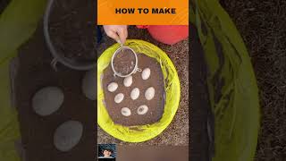 #diy #automotivetools #diytips #automobile #diycrafts #woodworking #craft #tips101 #tools #repair