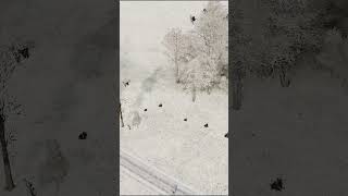 A Lone Footstep Echoed in the Rubble… #military #militarysimulation #aviation