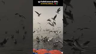 #yytshort#viralvideo #shorts#motivation @ShikshaCourageCorner #support